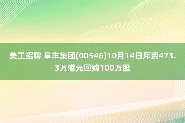 美工招聘 阜丰集团(00546)10月14日斥资473.3万港元回购100万股